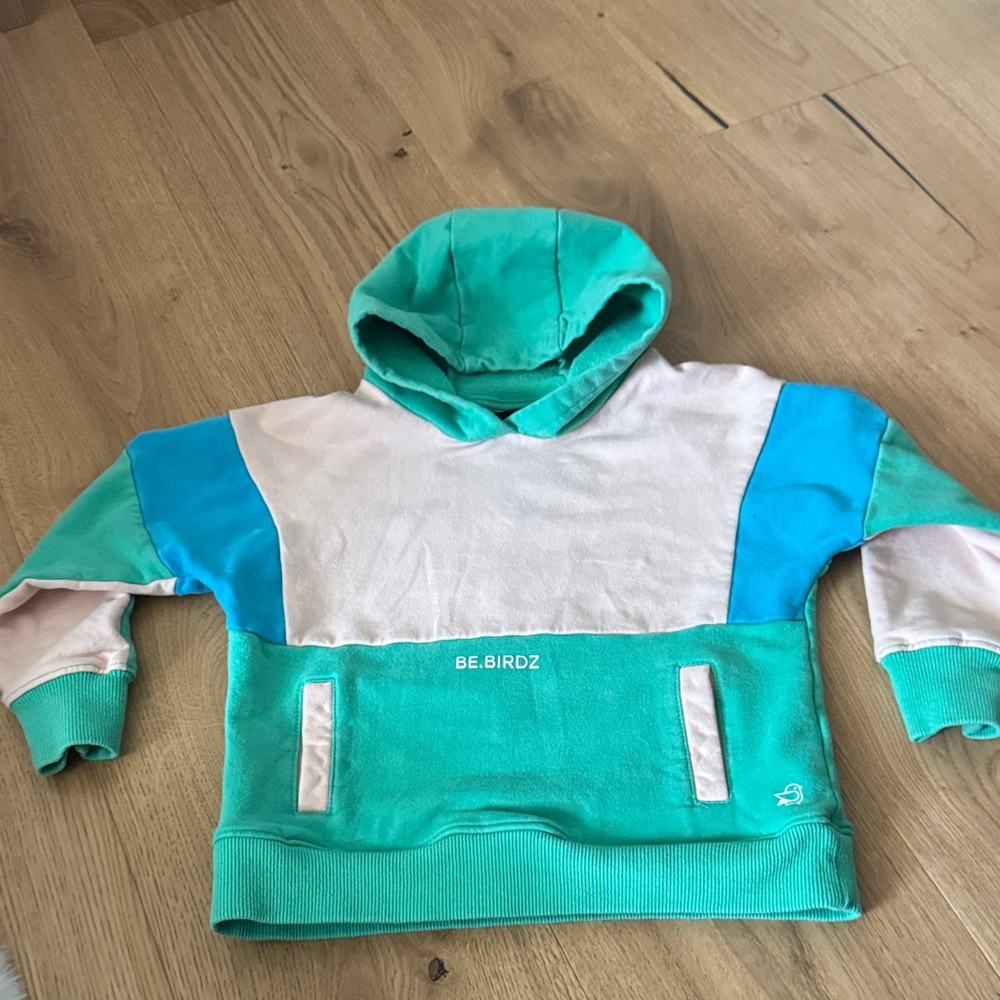 Birdz Kids Colorblock Hoodie 5T
